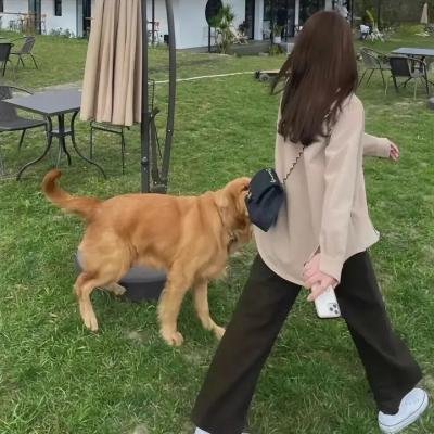 黑色丑闻