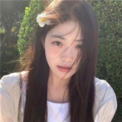 林中野兽